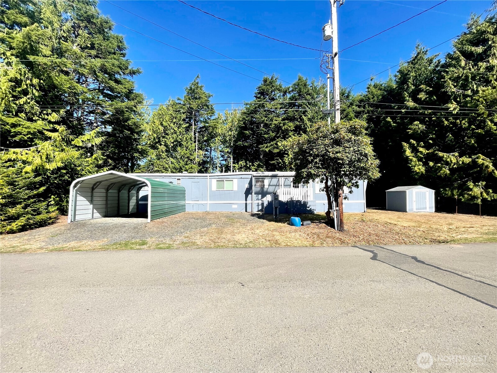 55 Paradise Lane Pacific Beach WA 98571