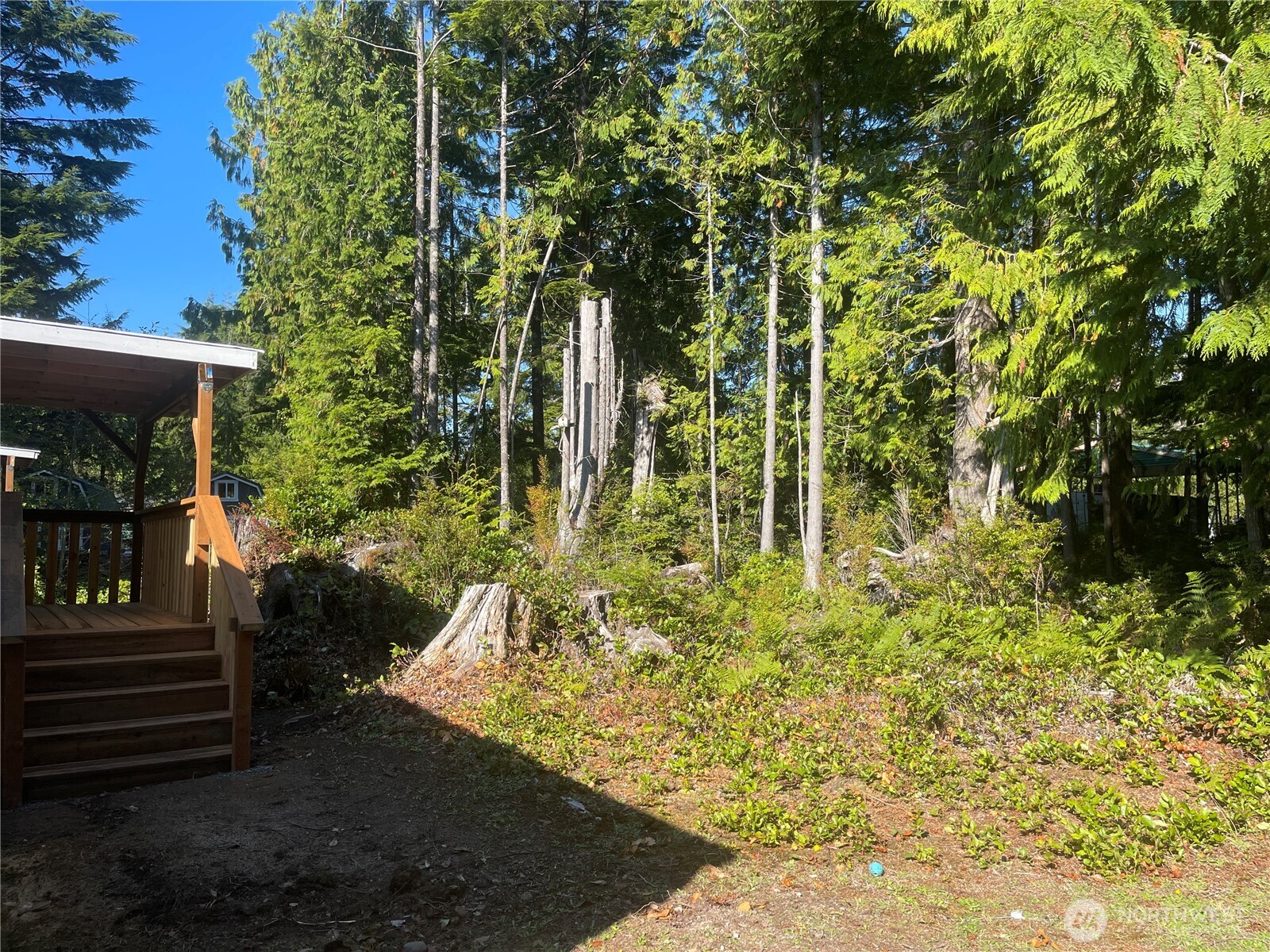 55 Paradise Lane Pacific Beach WA 98571