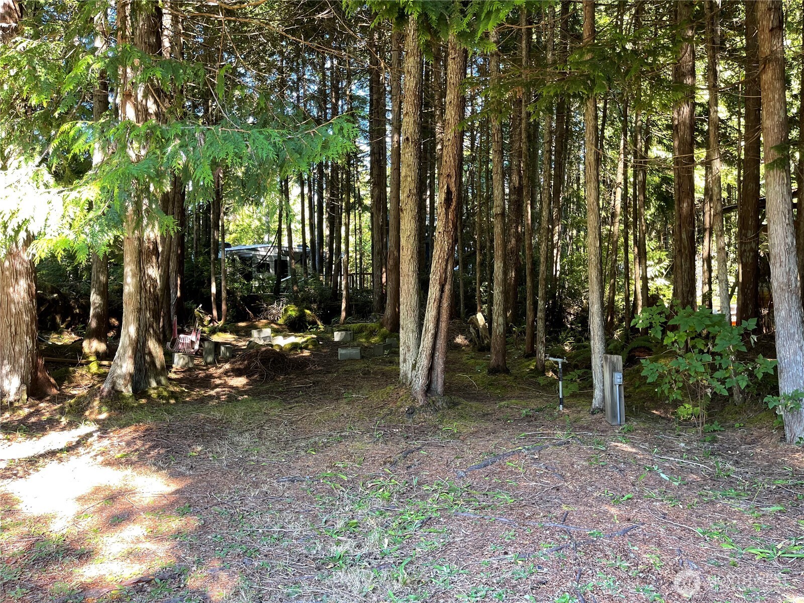 55 Paradise Lane Pacific Beach WA 98571