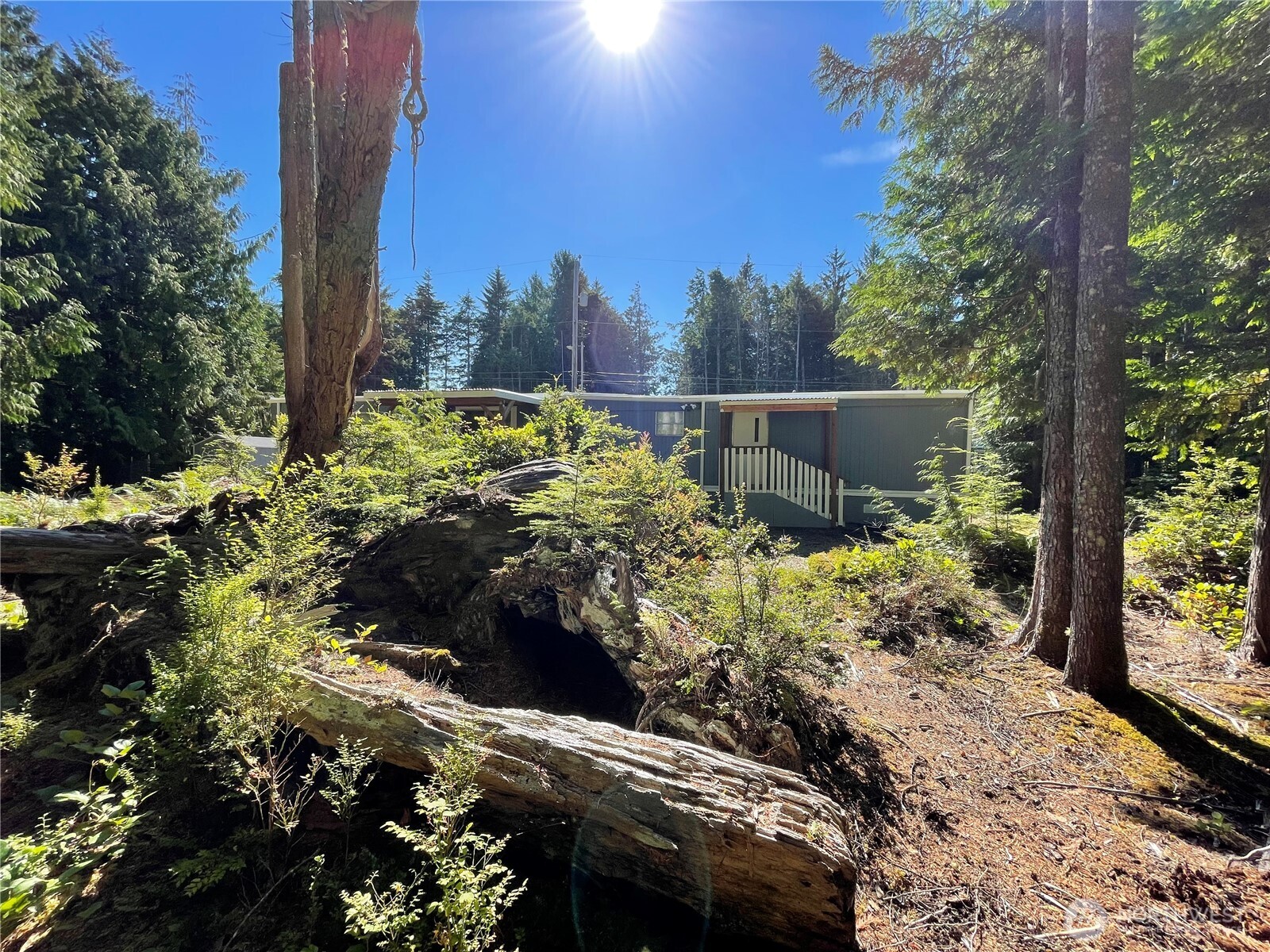 55 Paradise Lane Pacific Beach WA 98571