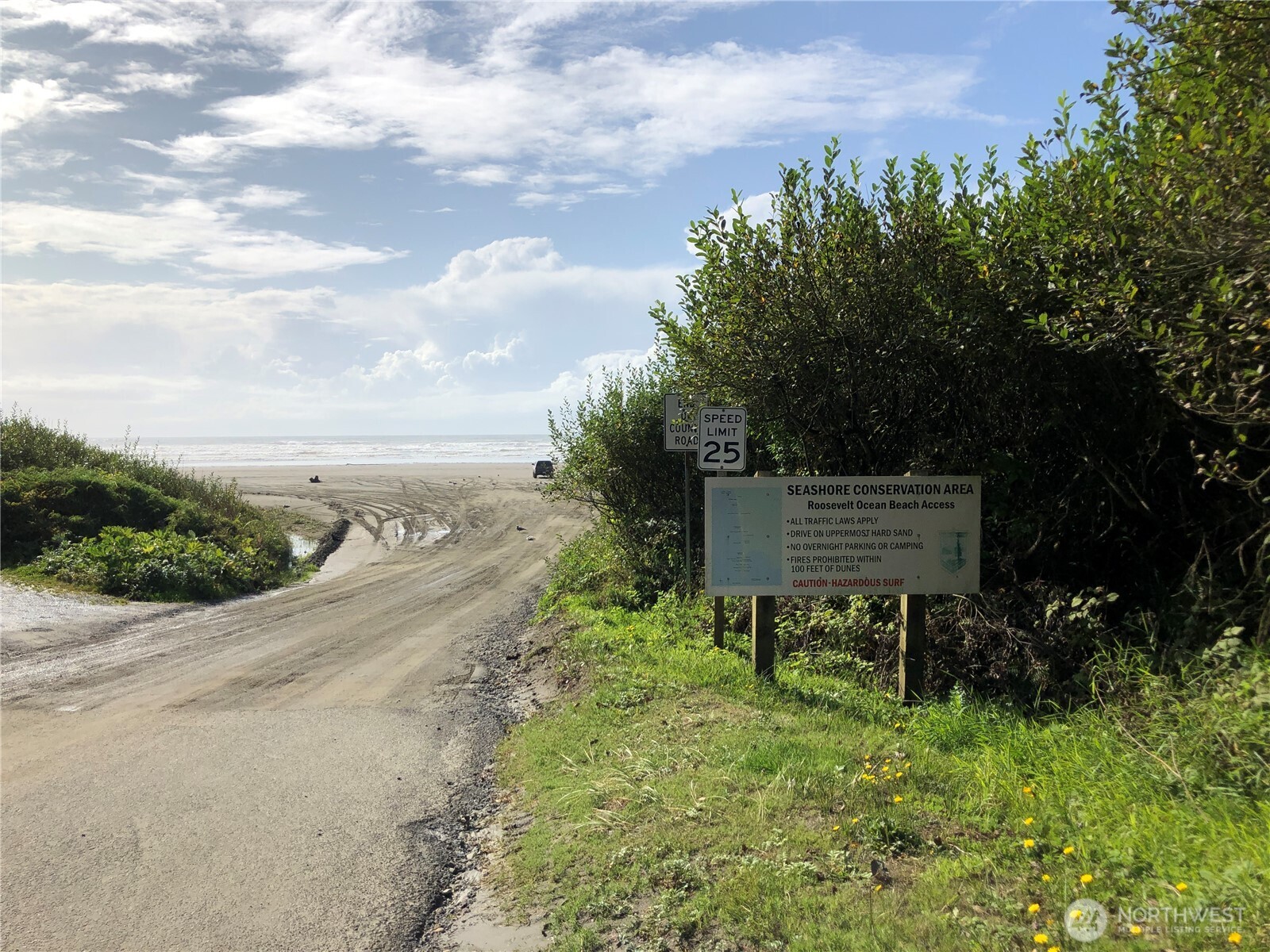 55 Paradise Lane Pacific Beach WA 98571