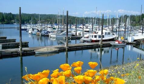 31 Mccartney Peak Lane Port Ludlow WA 98365