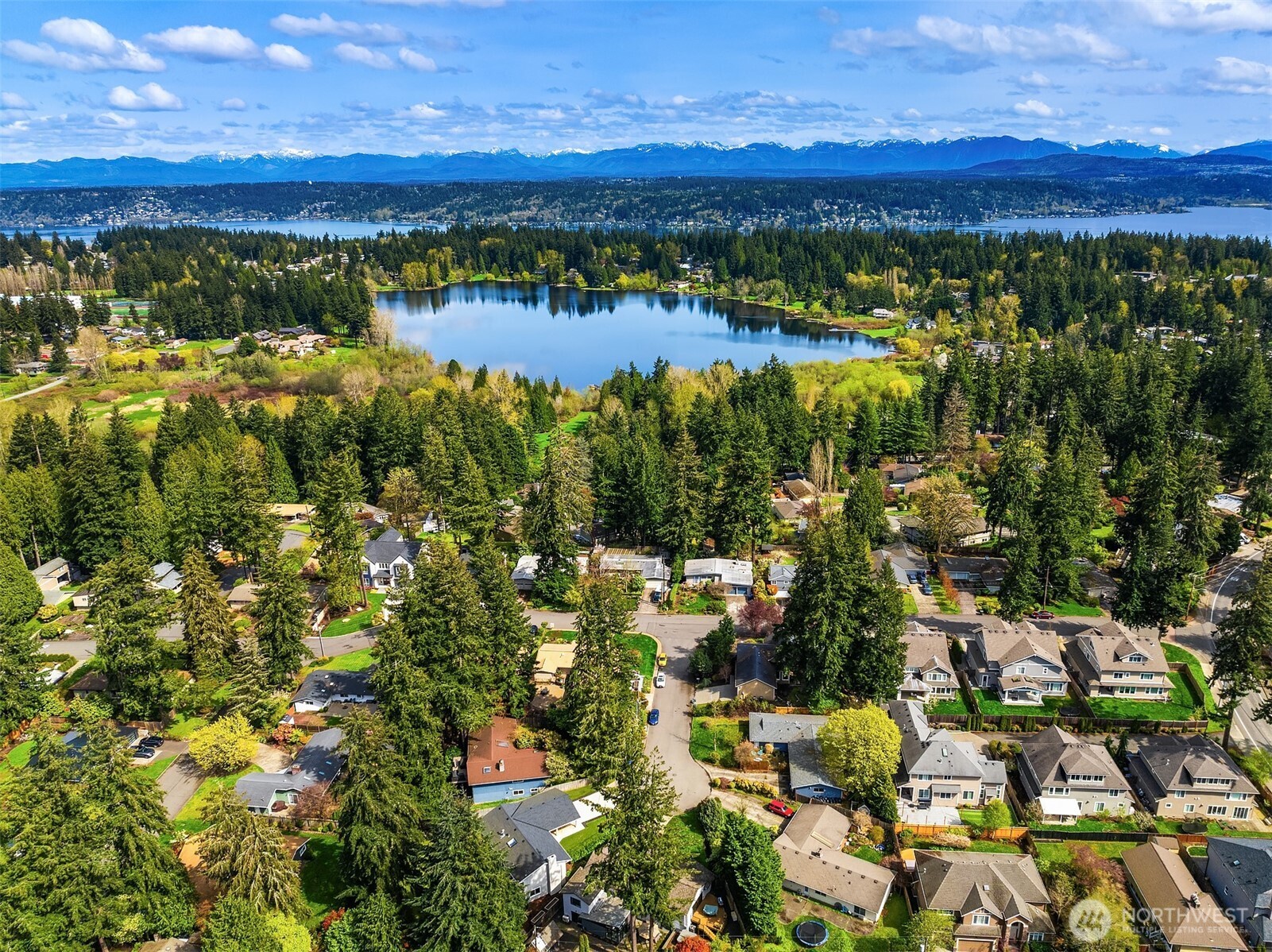 15310 SE 21st Street Bellevue WA 98007