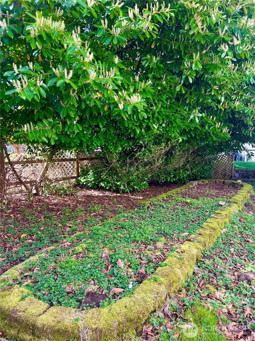 30303 O Place Ocean Park WA 98640