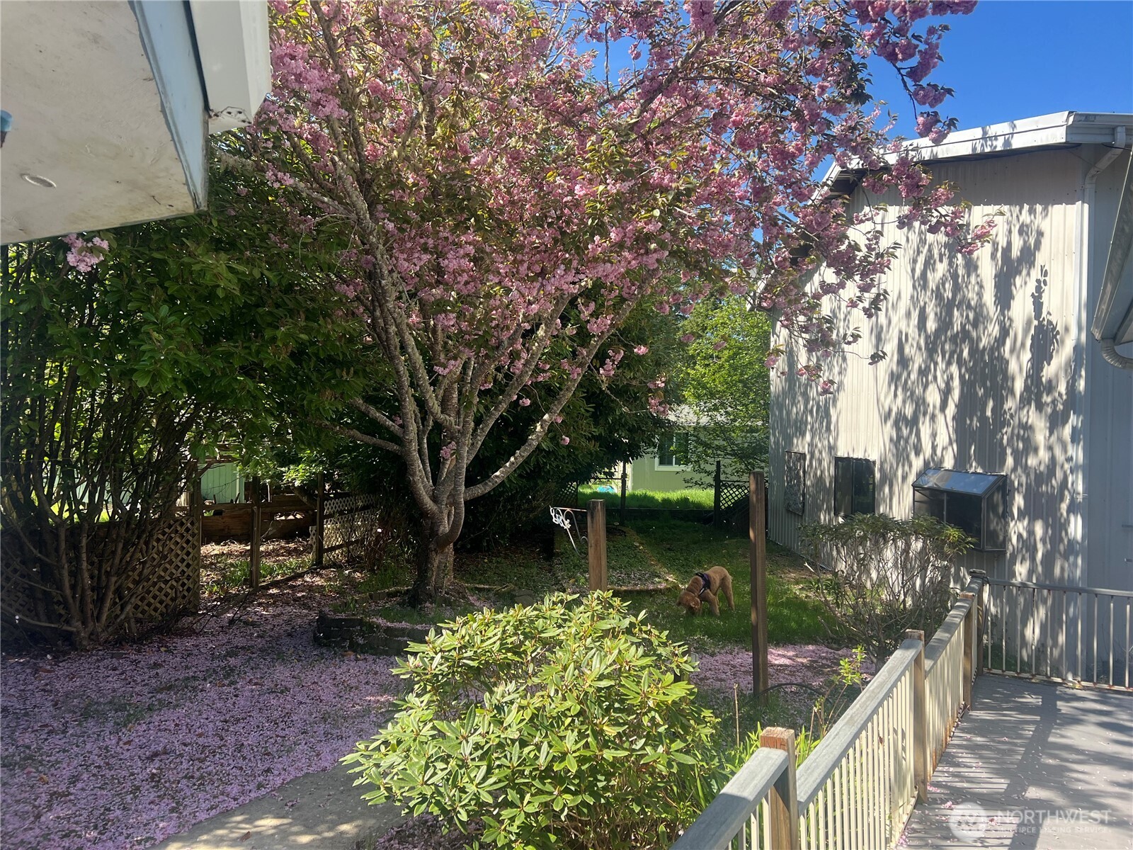 30303 O Place Ocean Park WA 98640