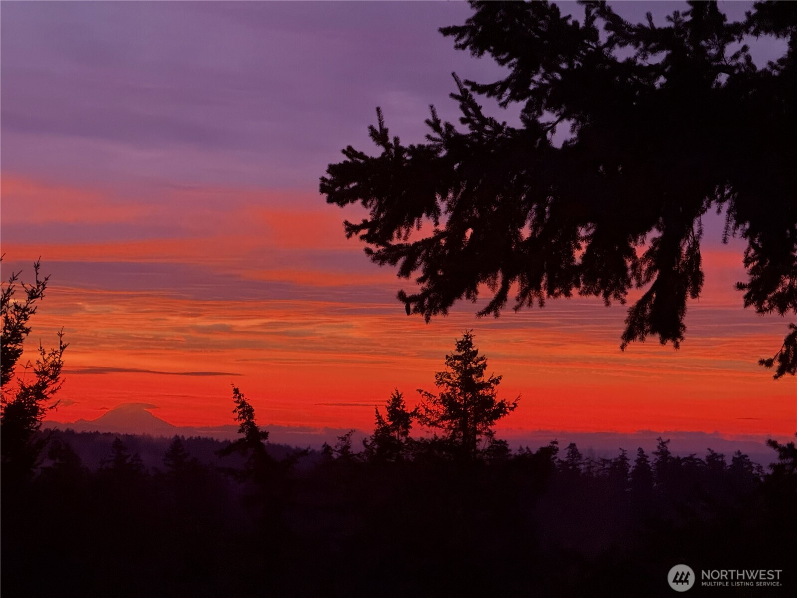 222 Oak Hill Drive Friday Harbor WA 98250