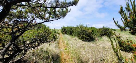 30309 G Street Ocean Park WA 98640