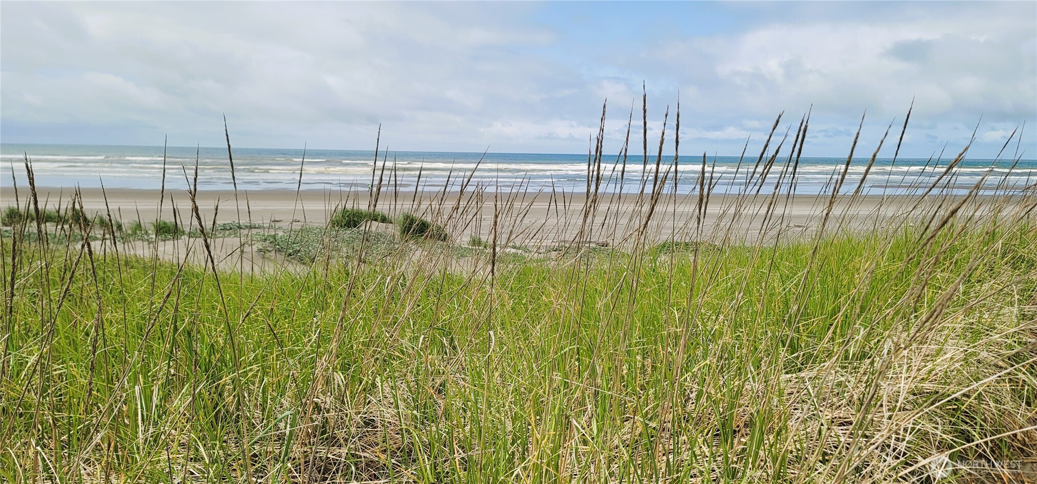 30309 G Street Ocean Park WA 98640