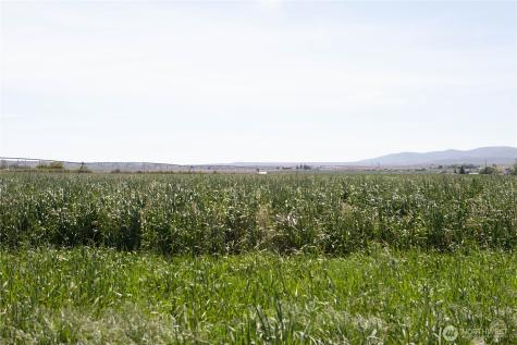 15450 Vantage Highway Ellensburg WA 98926