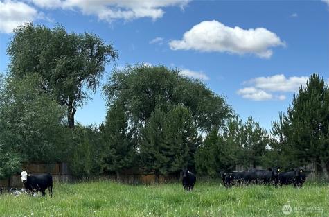 15450 Vantage Highway Ellensburg WA 98926