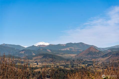 18414 NE 391st Street Amboy WA 98601