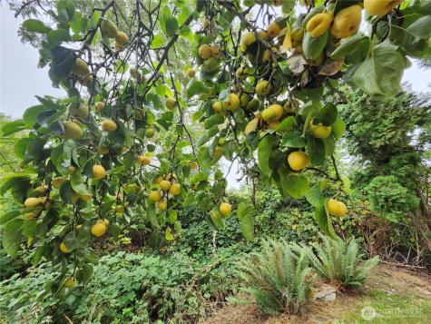 1802 N 35th Street Mount Vernon WA 98273