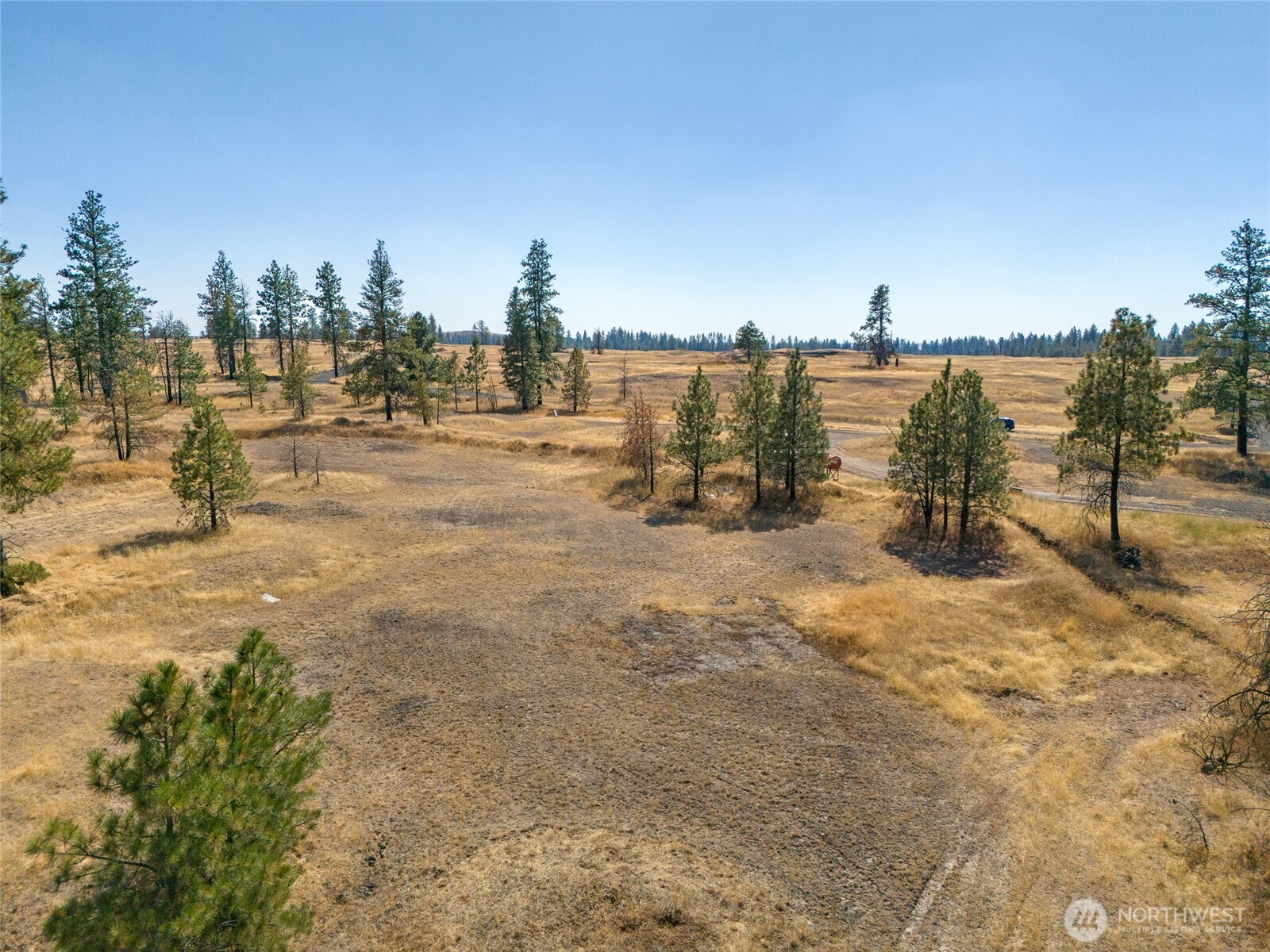 36321 S Bootstrap Lane Cheney WA 99004