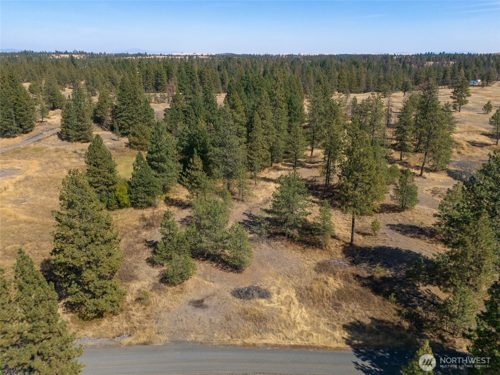 36321 S Bootstrap Lane Cheney WA 99004