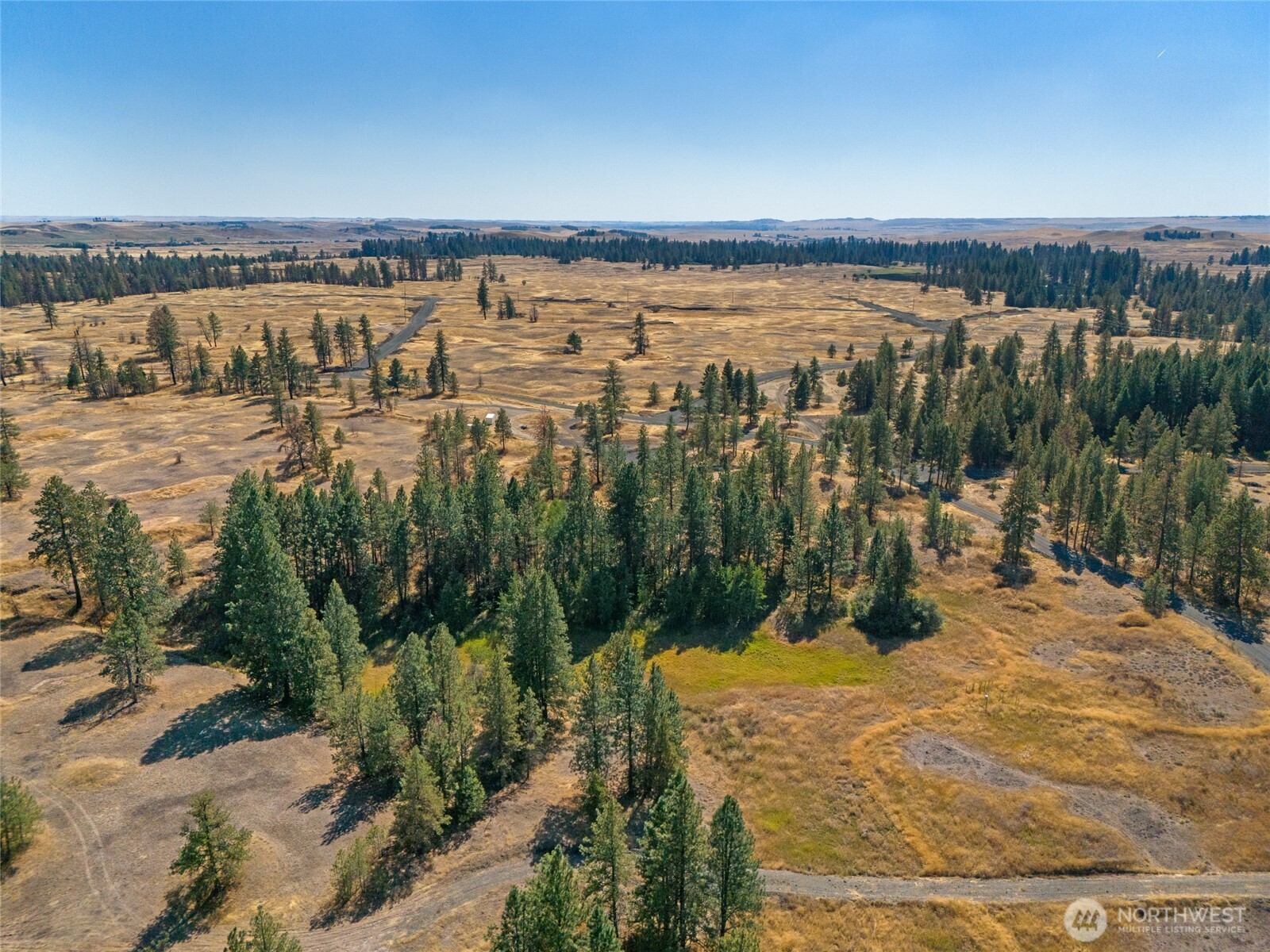 36321 S Bootstrap Lane Cheney WA 99004