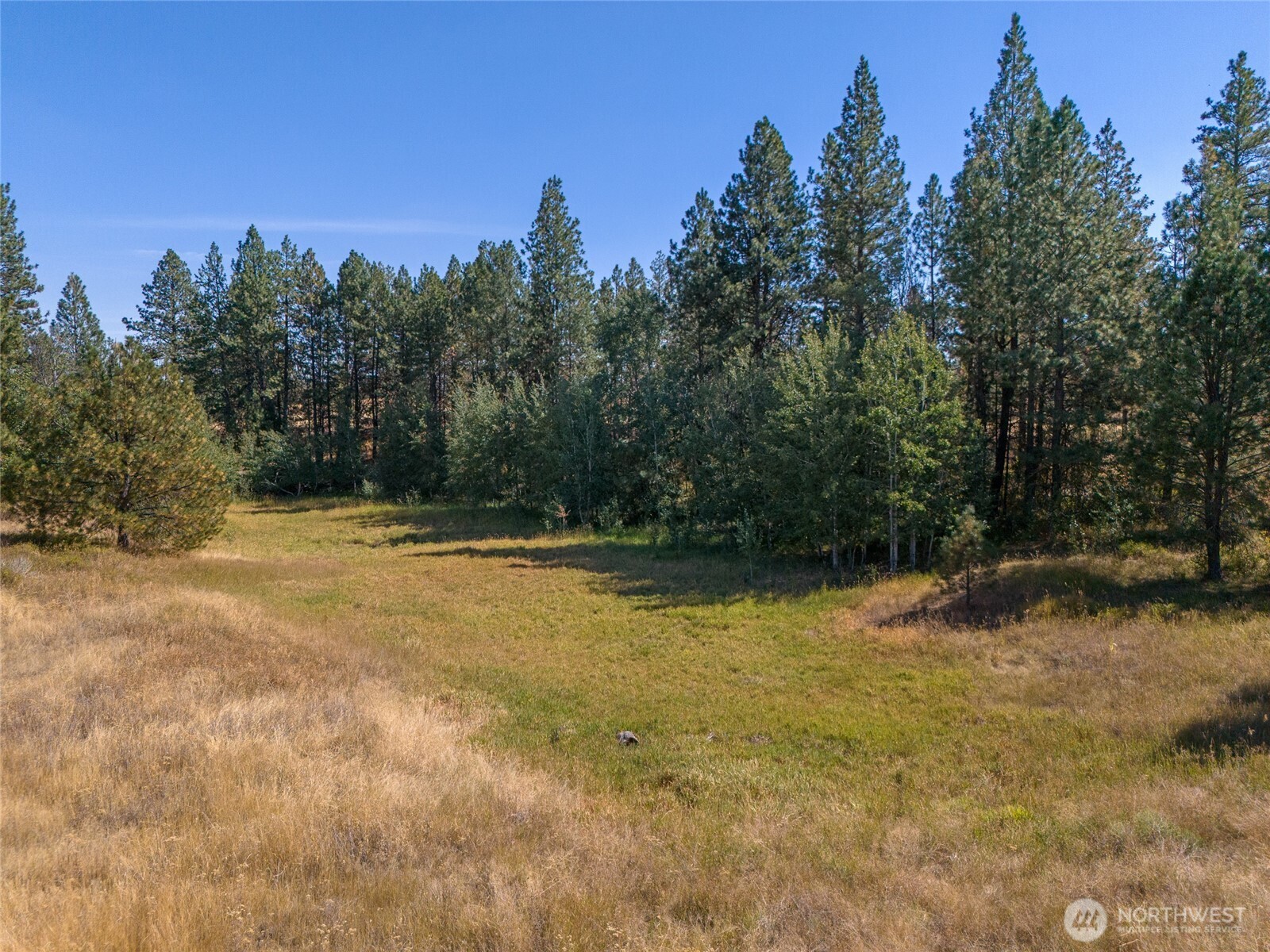 36321 S Bootstrap Lane Cheney WA 99004