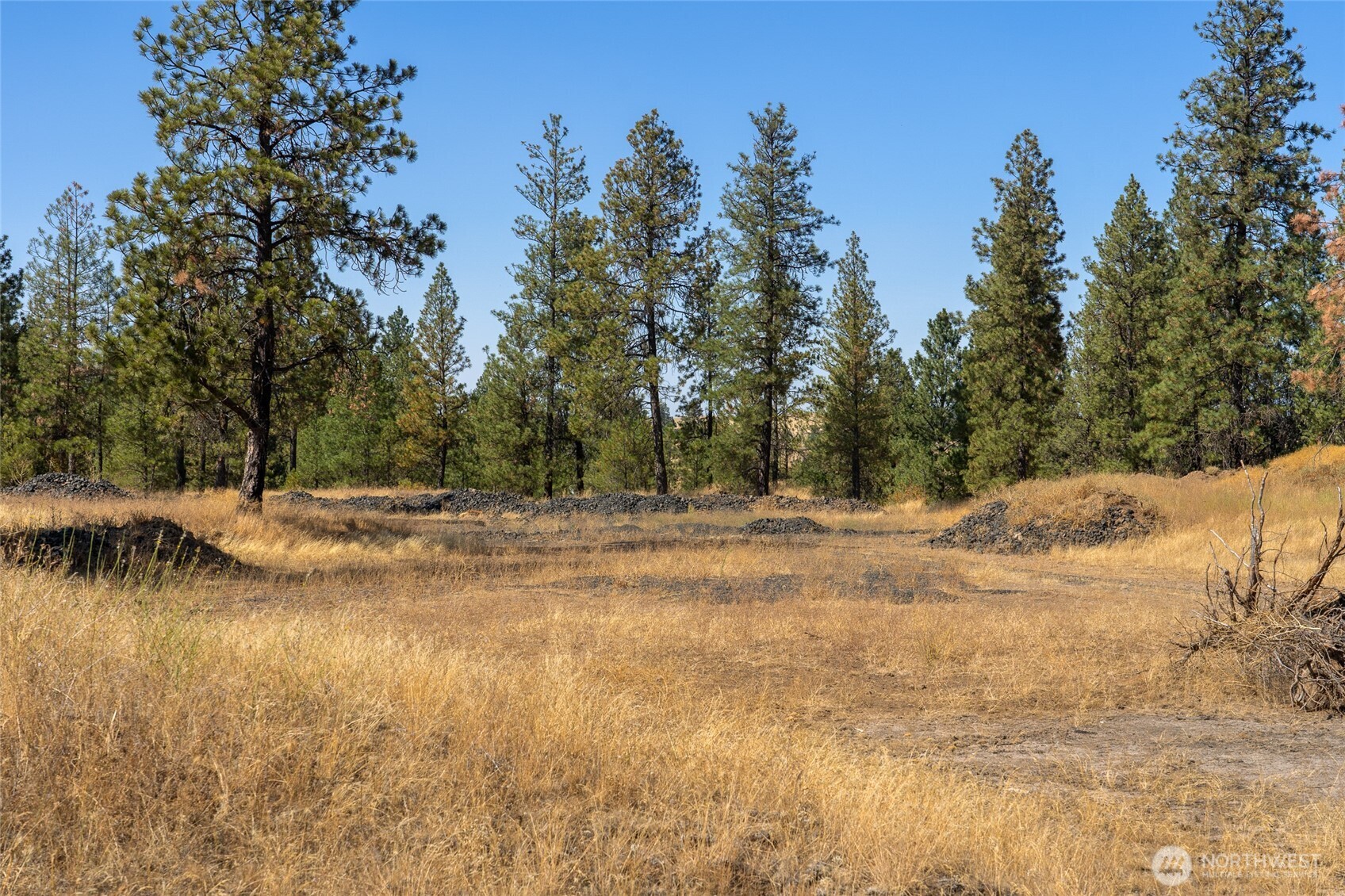36321 S Bootstrap Lane Cheney WA 99004