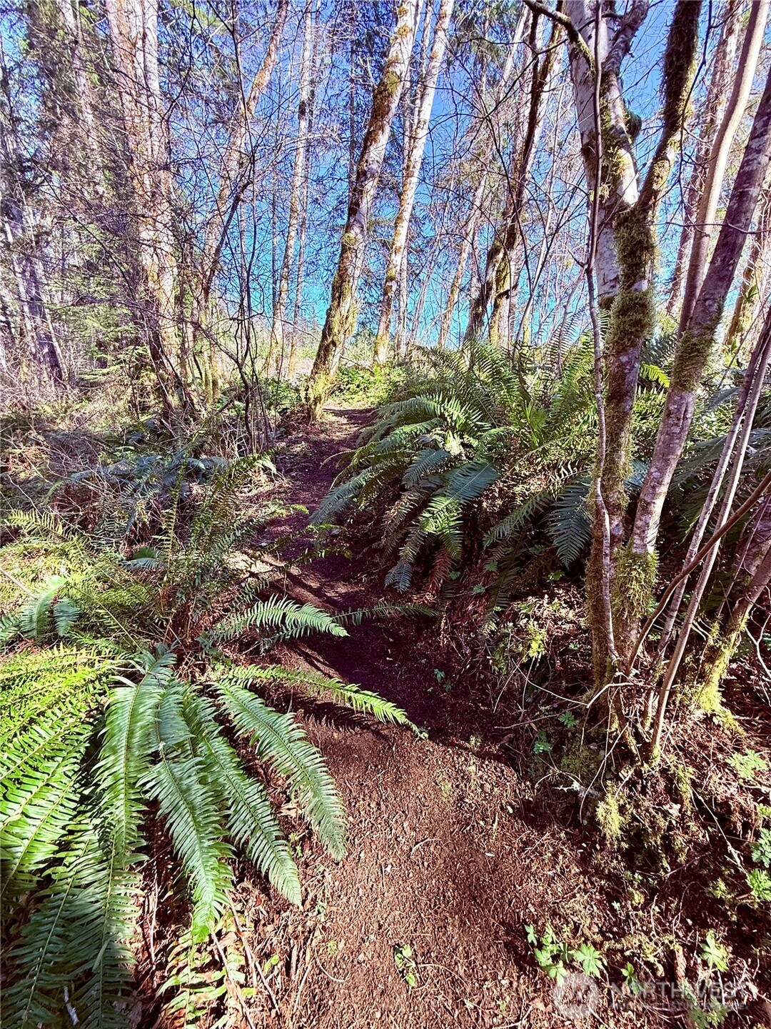 706 Falls Road Randle WA 98377