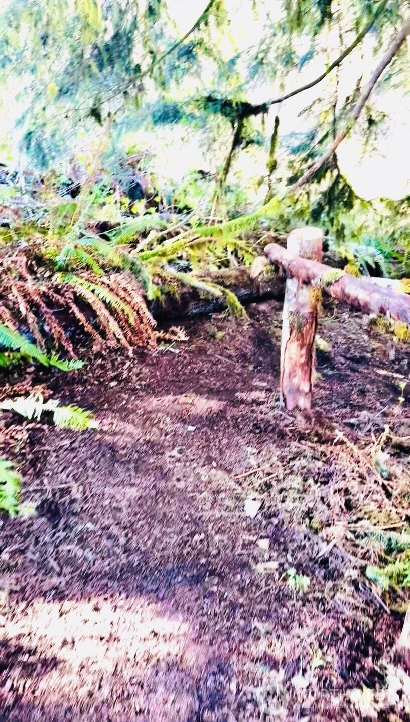 706 Falls Road Randle WA 98377