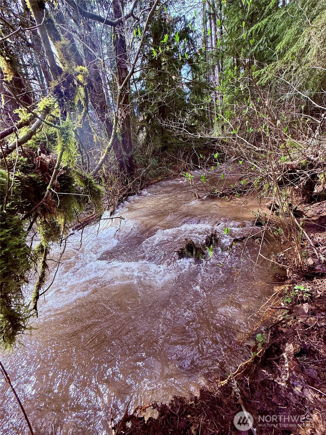 706 Falls Road Randle WA 98377