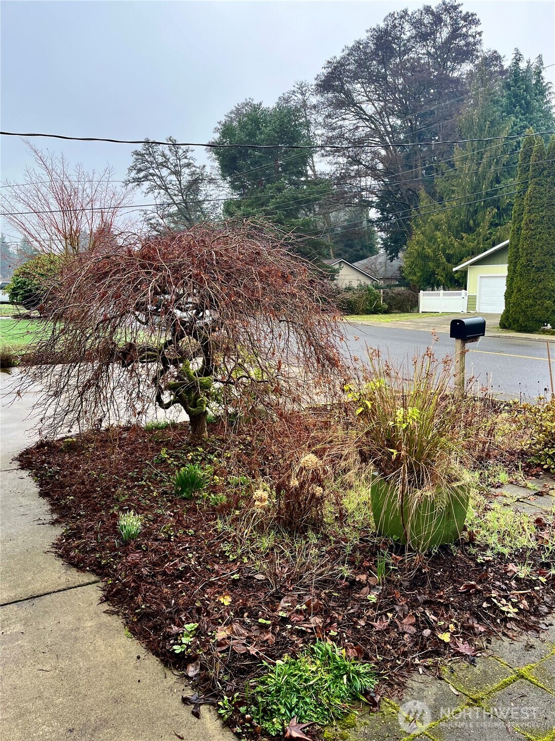 307 X Street Tumwater WA 98501