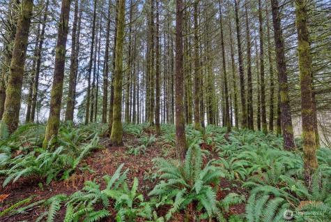 570 Wynooche Valley Road Montesano WA 98563
