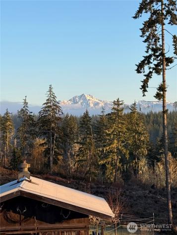 161 NE Belfair View Road Belfair WA 98528