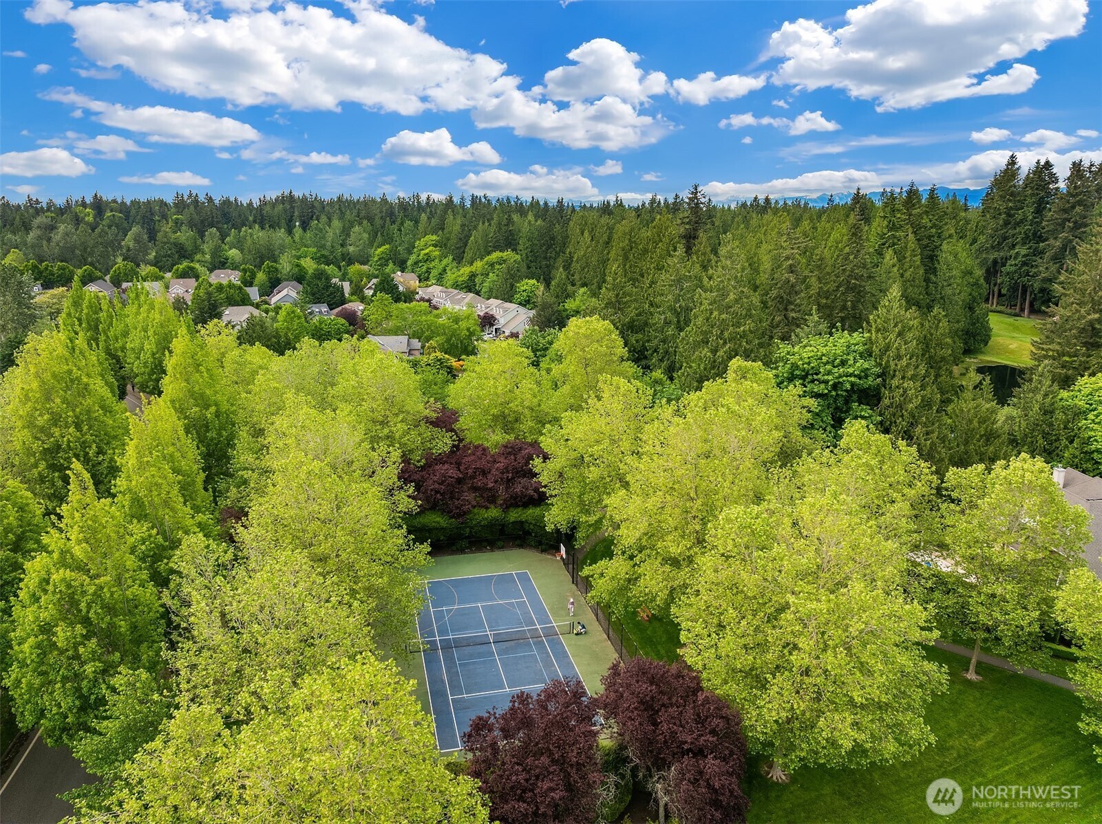 3032 206th Way NE Sammamish WA 98074