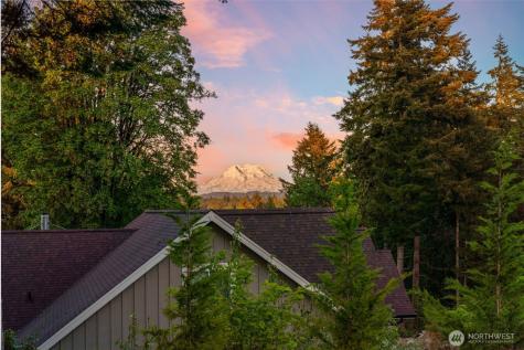 3030 137th Lane SW Tenino WA 98589