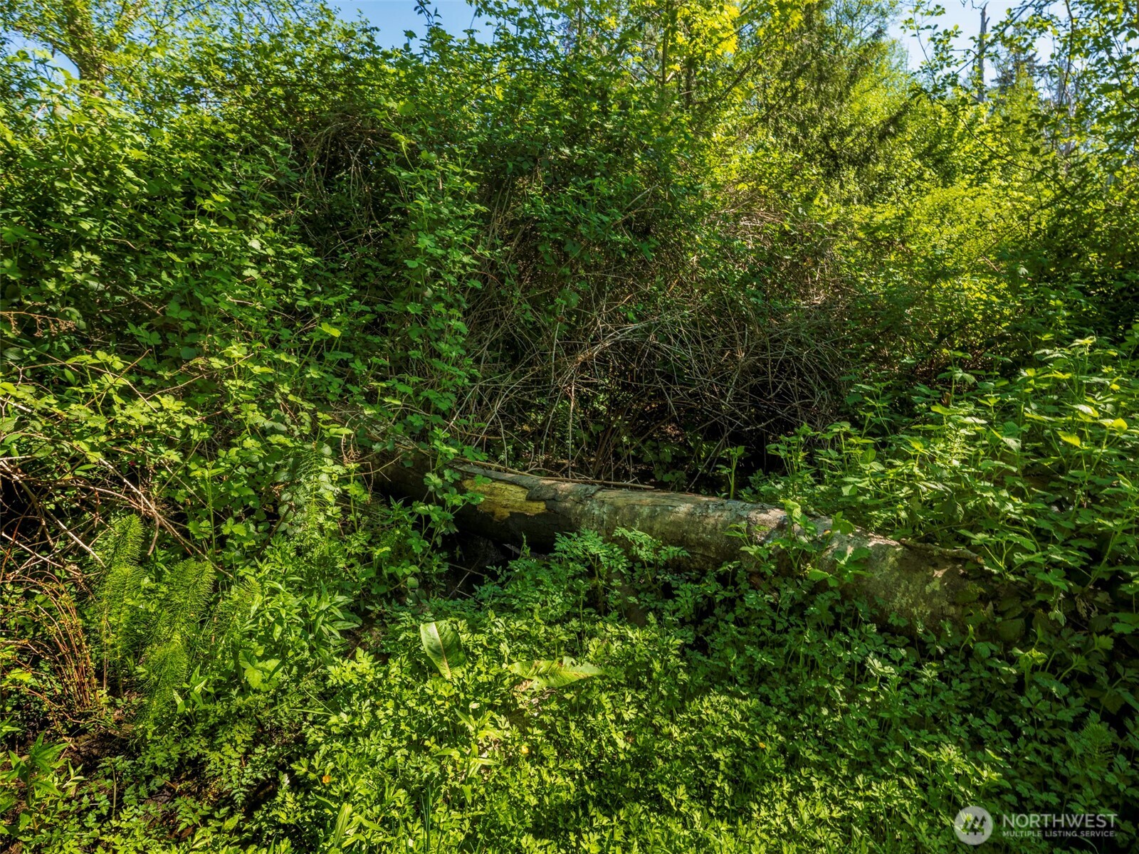 274192 E Highway 101 Sequim WA 98382