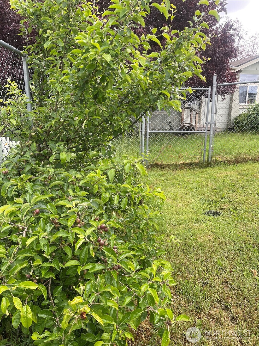 1785 Douglas Road Friday Harbor WA 98250