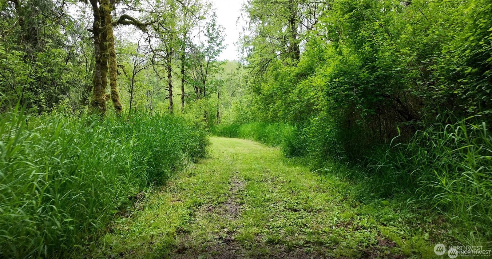 209 Alpha Way Onalaska WA 98570