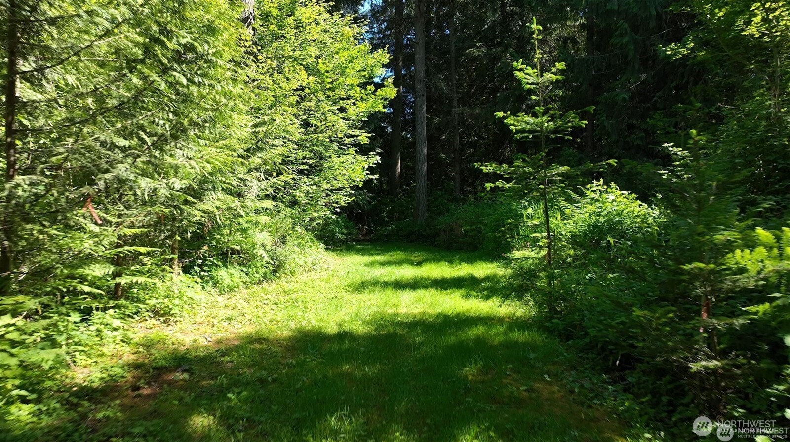 209 Alpha Way Onalaska WA 98570