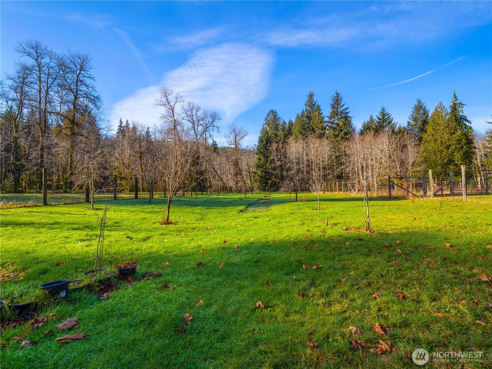 2298 Undie Road Forks WA 98331