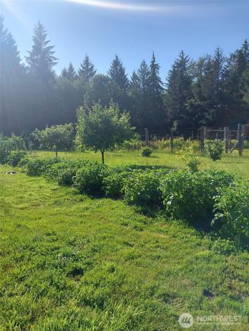 2298 Undie Road Forks WA 98331