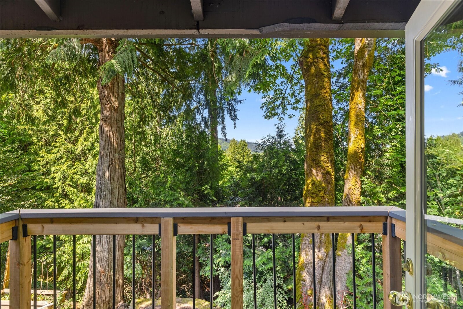 155 Mount Olympus Drive NW Issaquah WA 98027