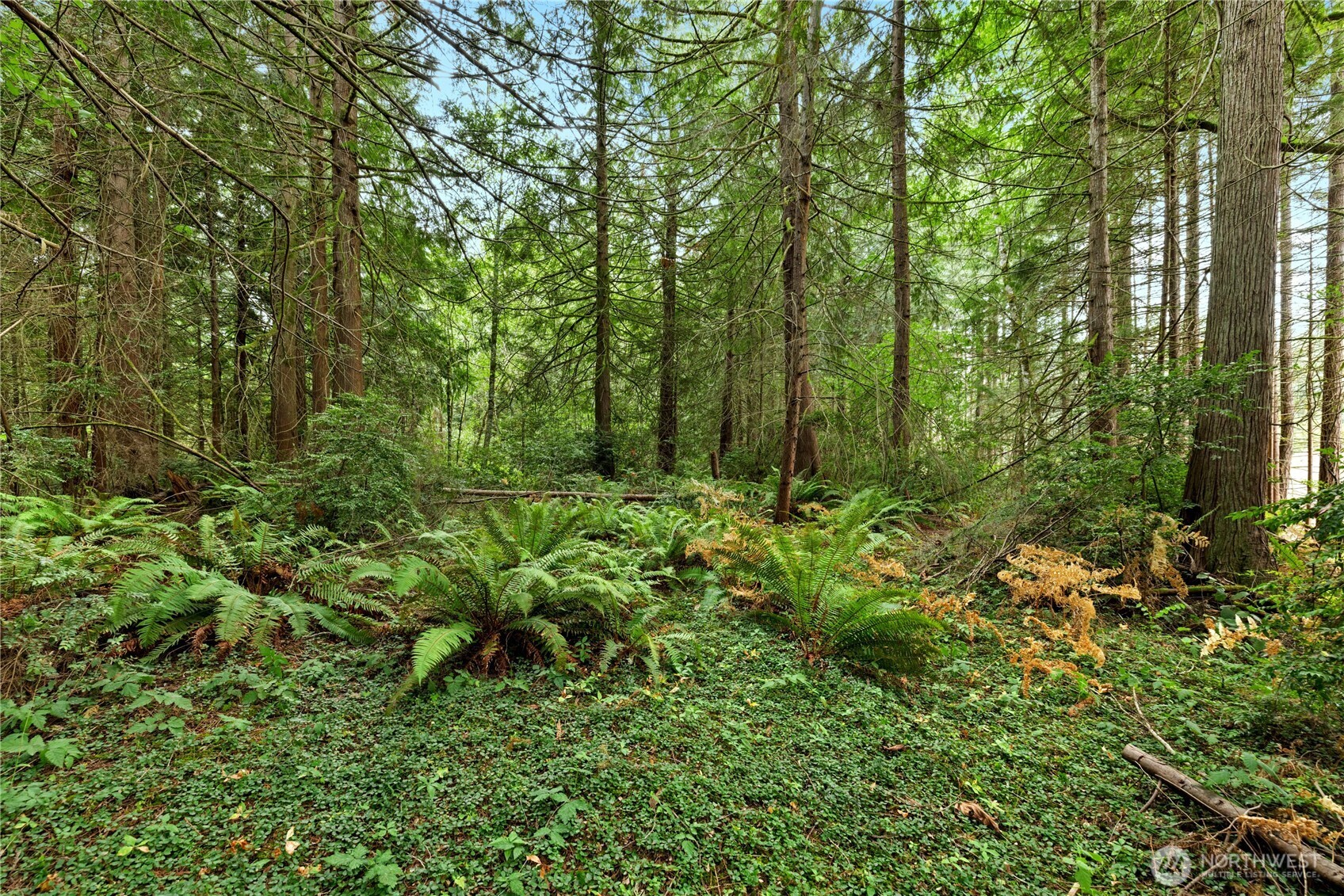 19301 Viking Avenue NW Poulsbo WA 98370