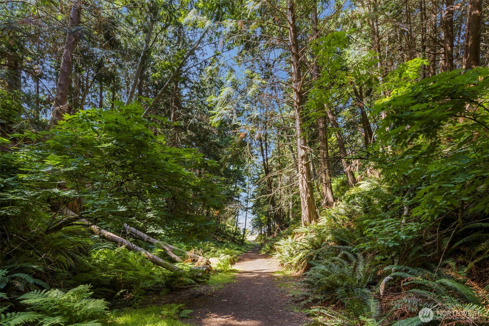 261 Dennis Boulevard Port Townsend WA 98368