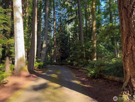 4079 Forest Lane Anacortes WA 98221
