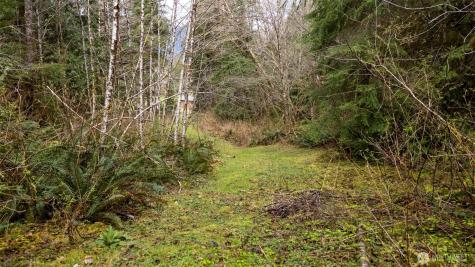 27 Olson Road Quinault WA 98575