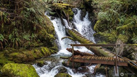 27 Olson Road Quinault WA 98575