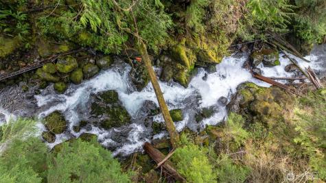 27 Olson Road Quinault WA 98575