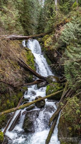 27 Olson Road Quinault WA 98575