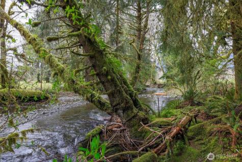 27 Olson Road Quinault WA 98575