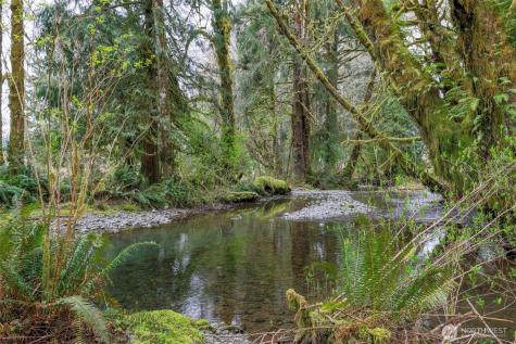 27 Olson Road Quinault WA 98575