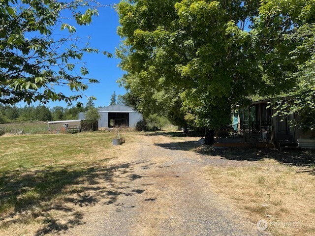 320 Pine Tree Road Toledo WA 98591