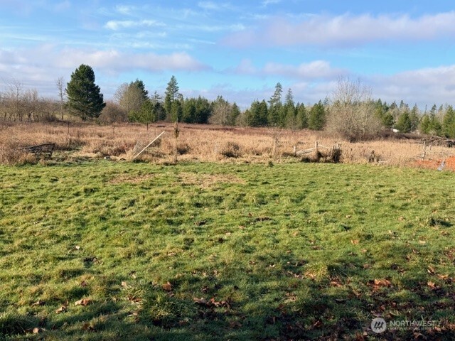 320 Pine Tree Road Toledo WA 98591