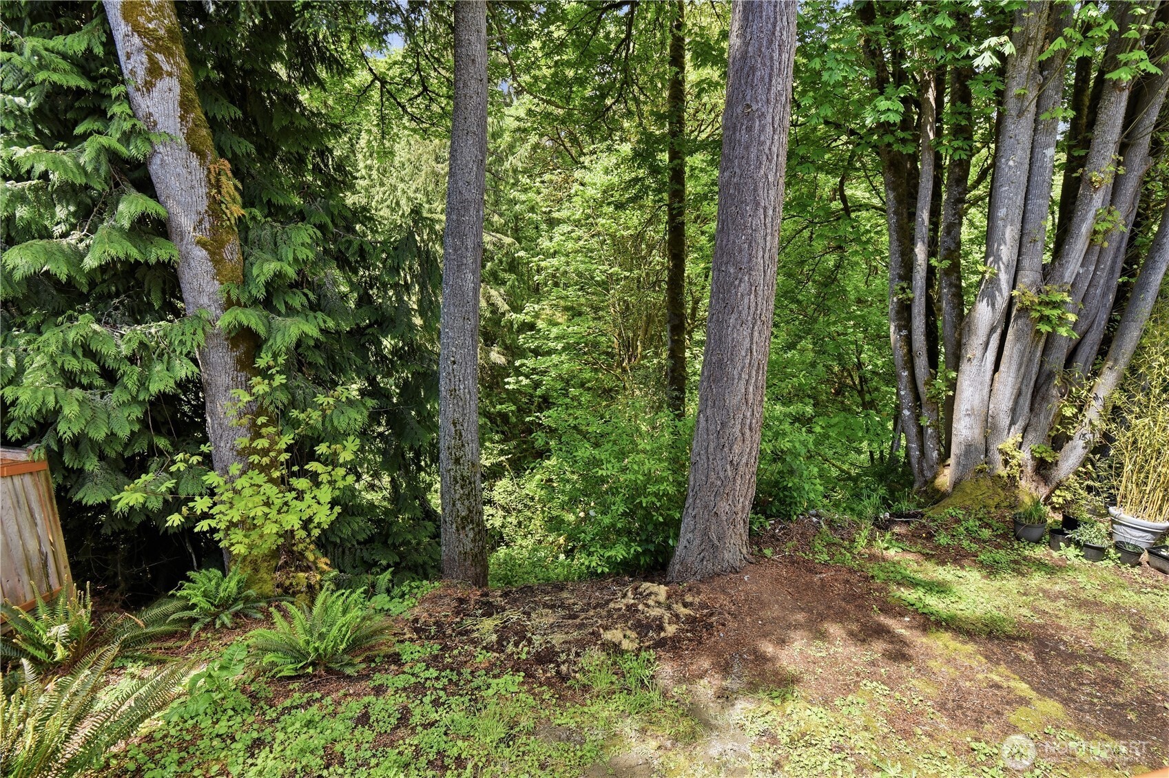 11808 57th Avenue SE Snohomish WA 98296