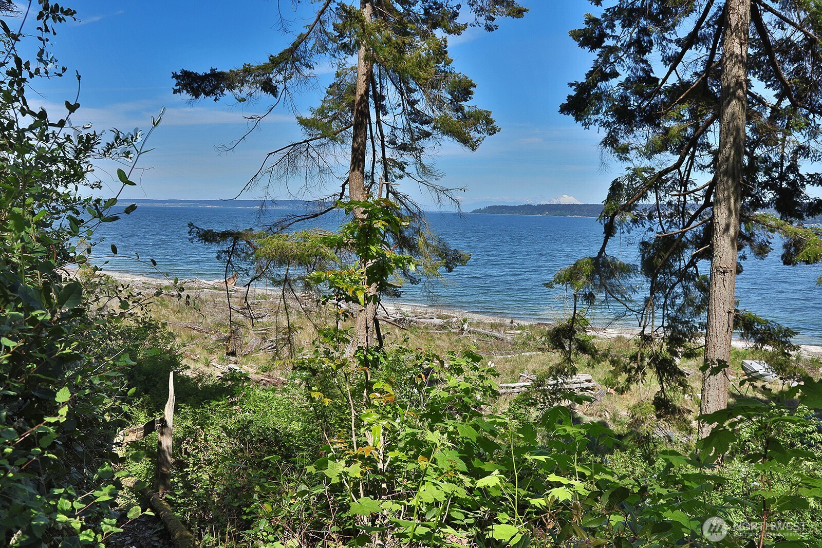 655 Race Road Coupeville WA 98239