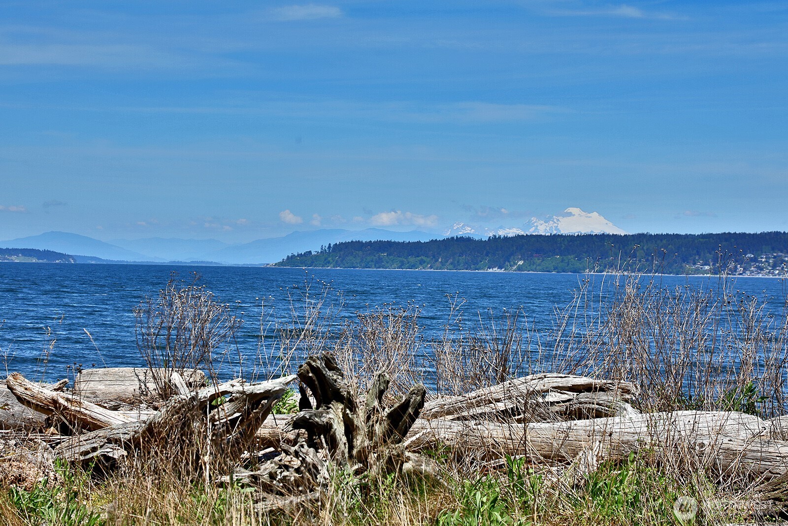 655 Race Road Coupeville WA 98239